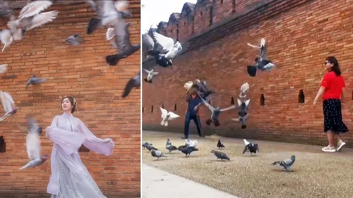 991D49385D96C16D1843DE