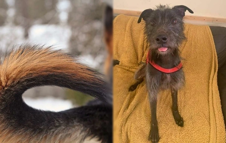 99ECE043600F9AF60E3457