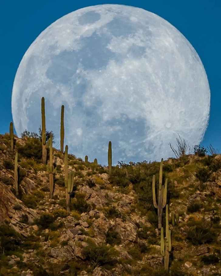 9927FB4D5FCDAB541F93FF