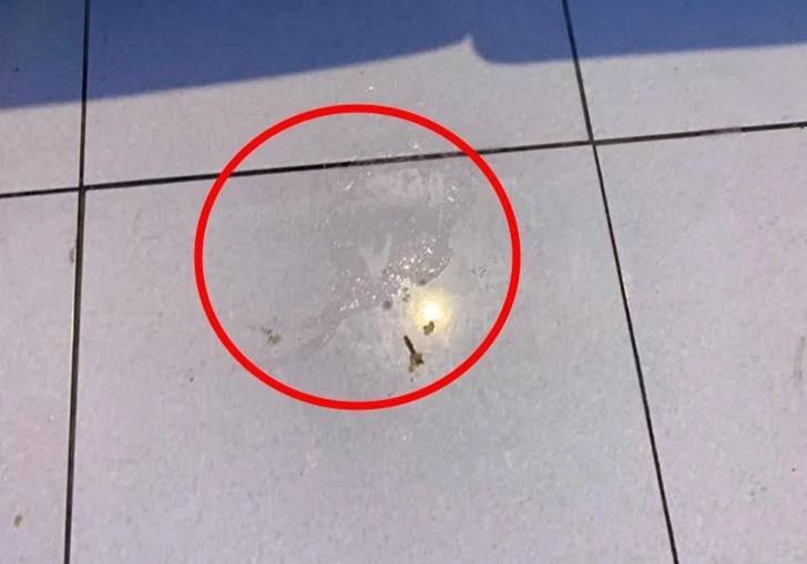 99210B445F6B3120315BDD