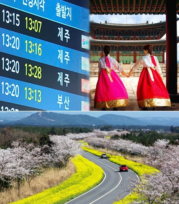 991956355FEFE31B0F9759