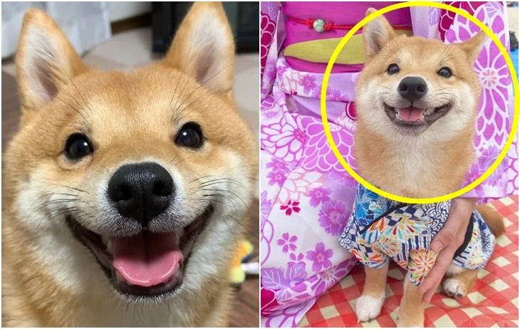 99E928395F695EE827AB6F