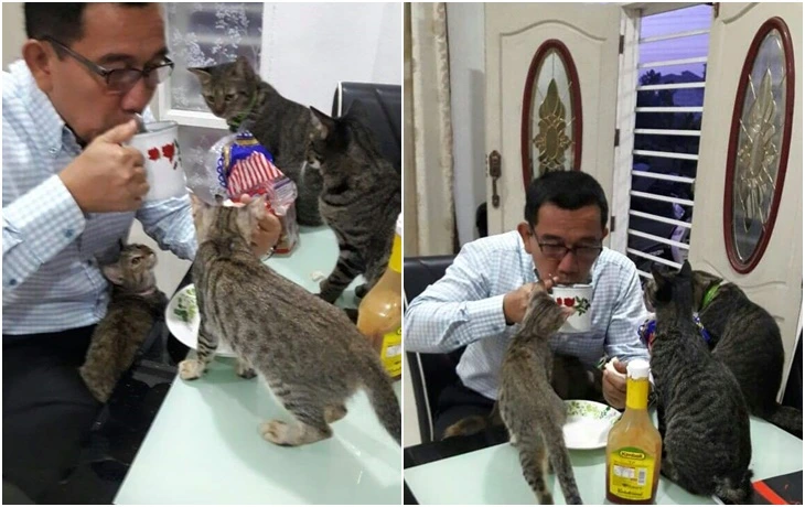 99BC60445FB64FDF0CFC9D