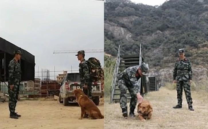 997AE1335FDFDD4C0D8369