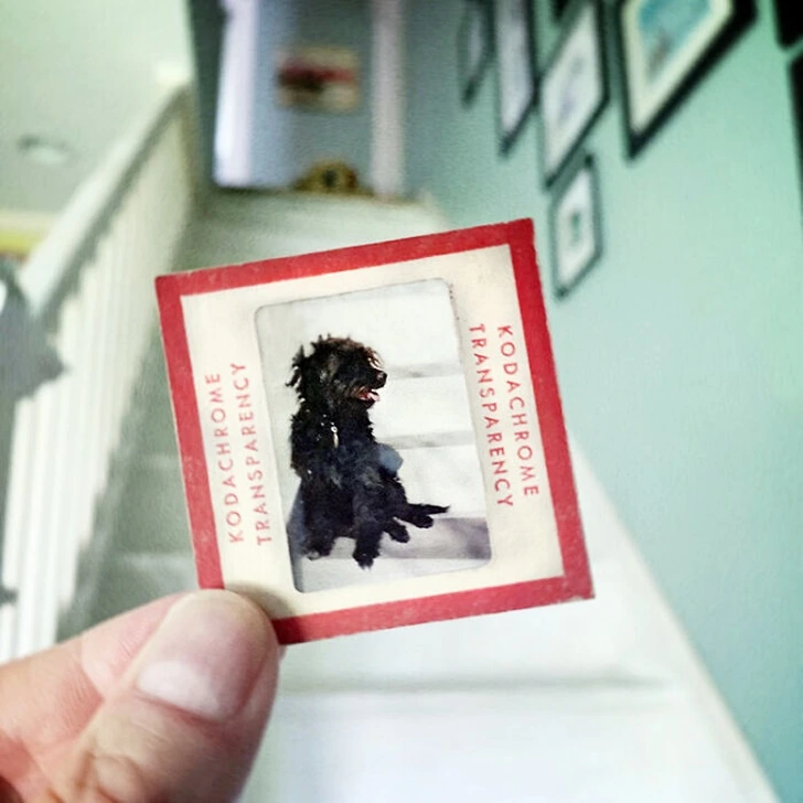 99BD5D486013E2CC1E2DF2