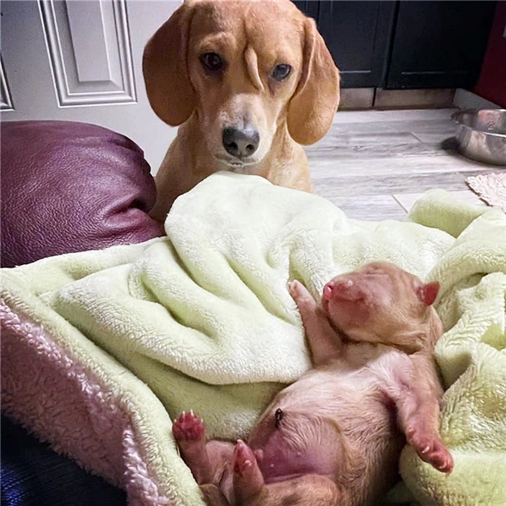 993E6A45600CE1961114F8