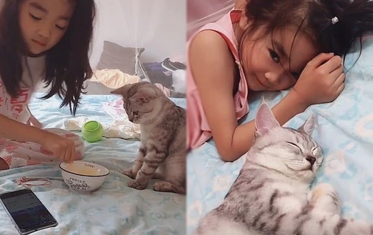 99C3FF3F5FCD71B70D8A6E