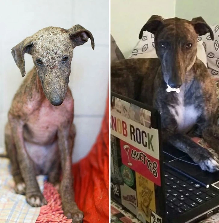 99EAFD445F605E3815E1DB