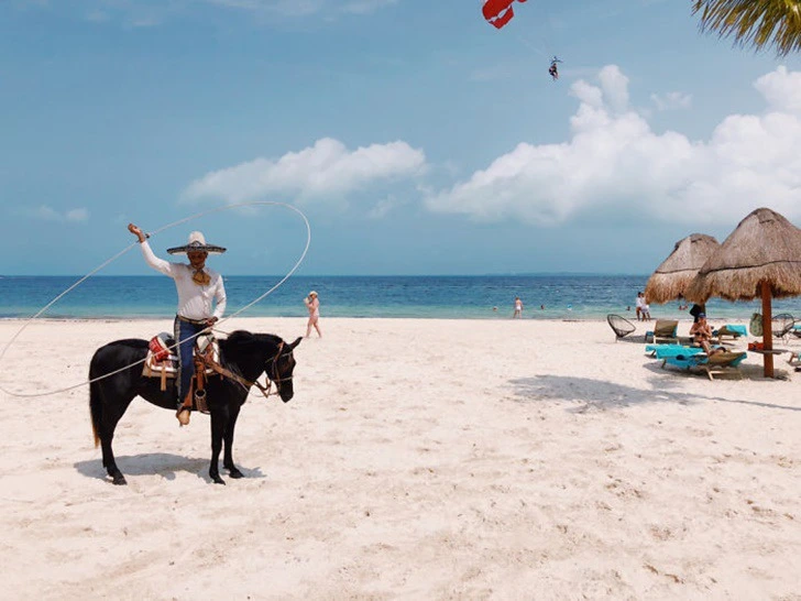 99B0184F5F3BDC6E291761