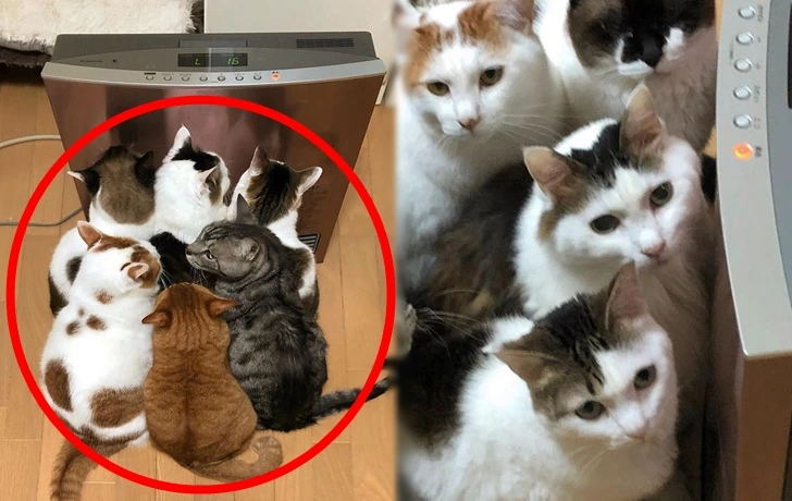 99B3DE34601756E80AFA3F