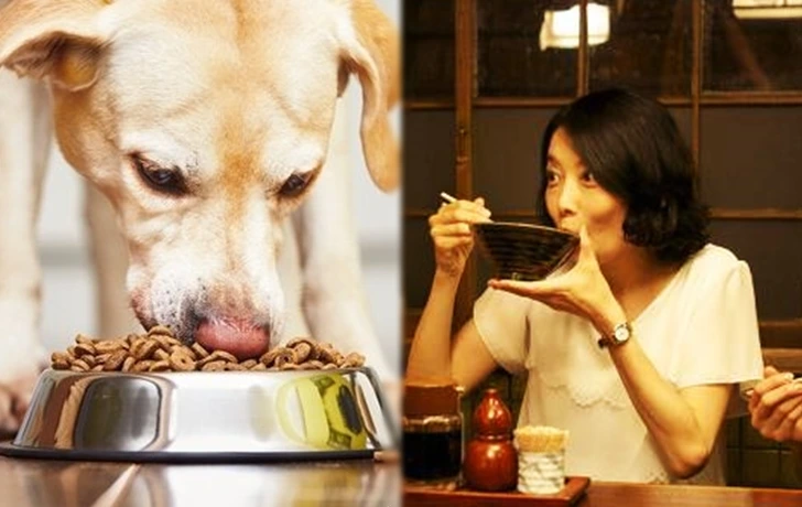 99770E436007F3131F3A0B