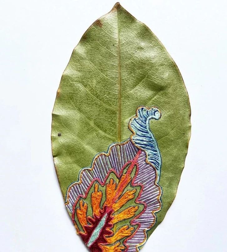 99C5813C5FEEAA50113FCB