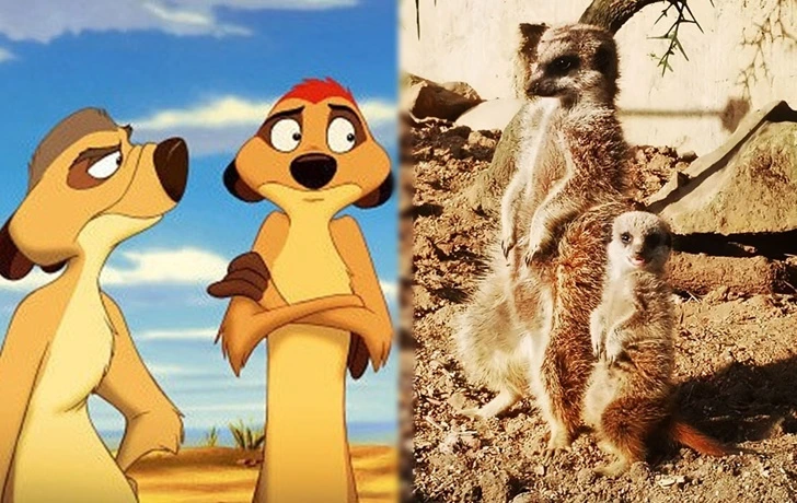 997510375FAF754F203F41