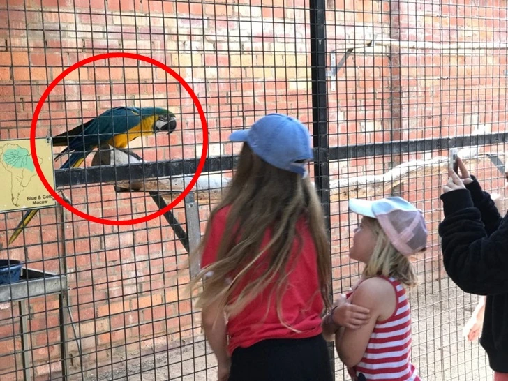 9963F2385F7536E910D31C