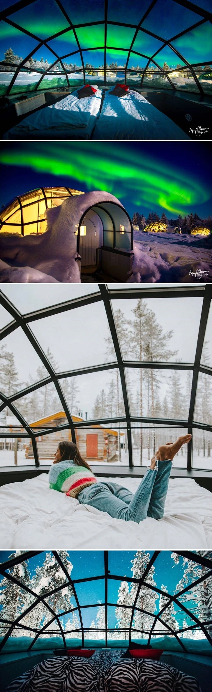 993B81485C64CC6405C4E4