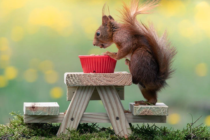 9909BA415F44CA612E1E6D