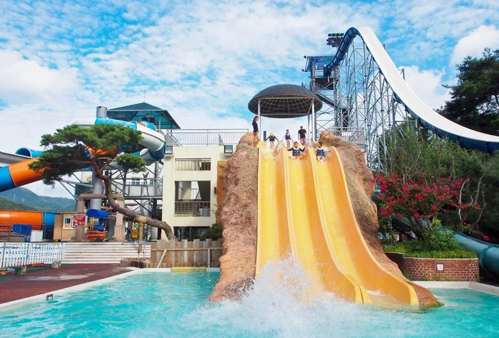 996FD63E5D1B59E141220C