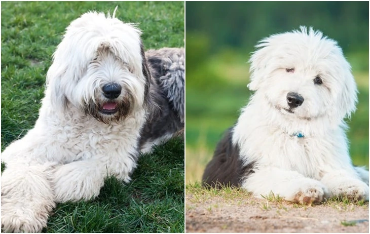 9925D9385F71AB3F109F62