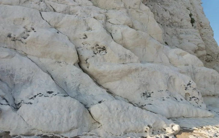 9903A0385F38F8FF198CC9