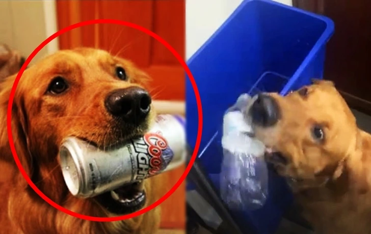 99663B3A60060B07041D98