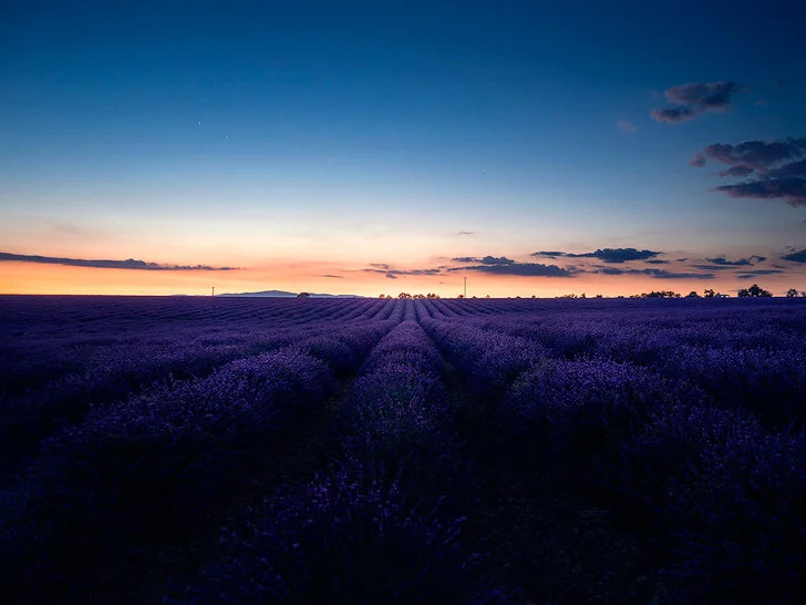 991558335D6282FF0C2141