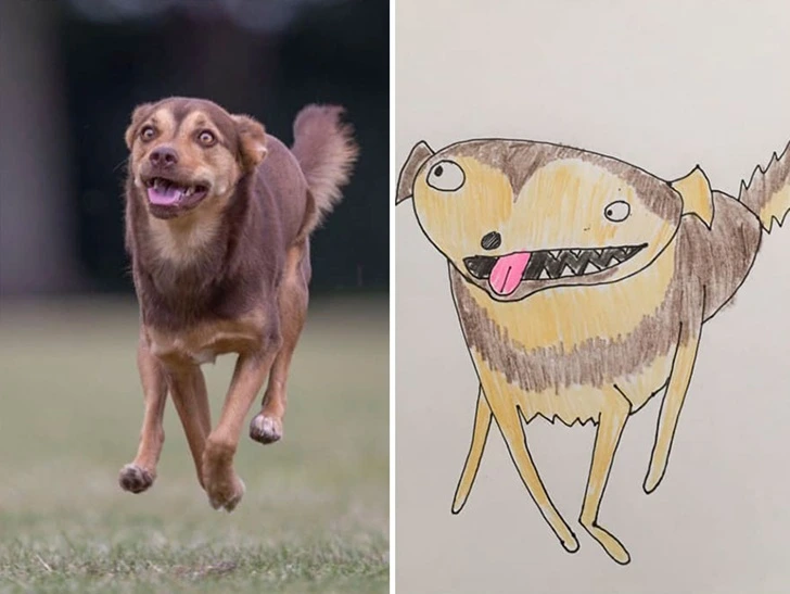 9971E7445F640E031E54C0