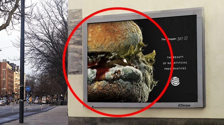 99B0C8485E4F76DA1E40DB