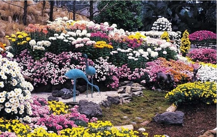 9906E6436004DEA30776B3