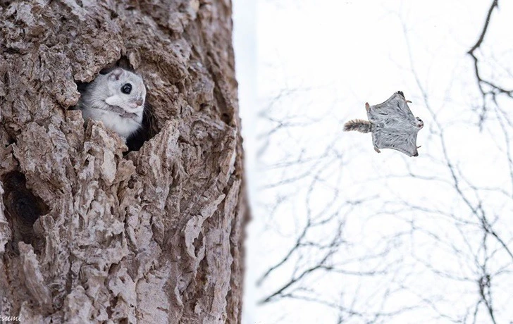 994890395F4F07ED27018A