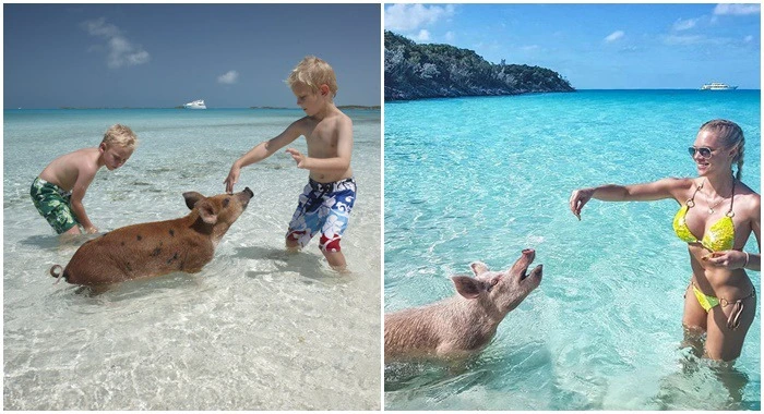 9904E3405CD971740BDEC1