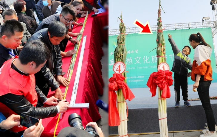 99AABF4D5FB51AD11325B5