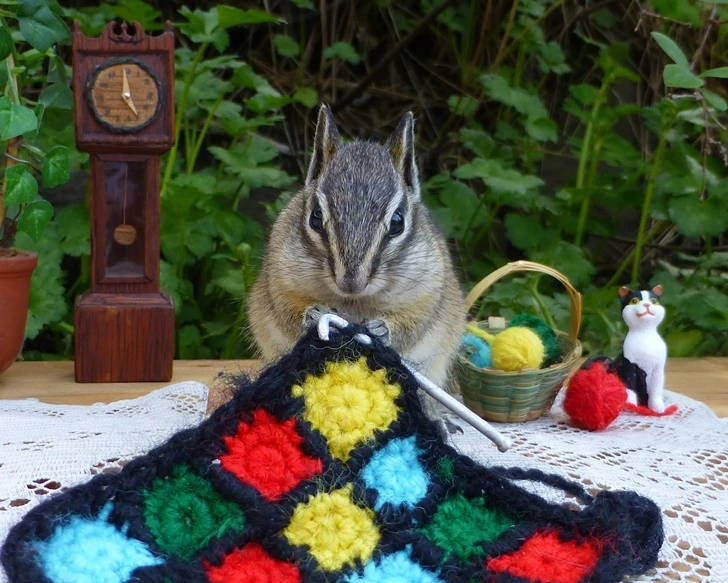 99691F445FC2E6EE0CEF24