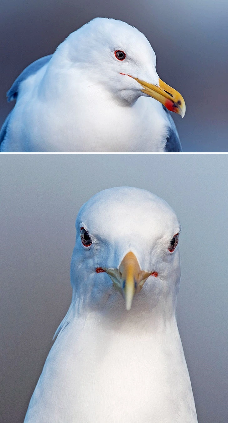 99730C395FF655F7093ABE