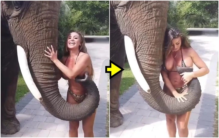 99F5CA3E5F691F660DF356