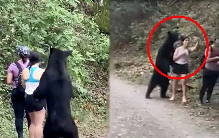 999F283B5F15370D339BDA