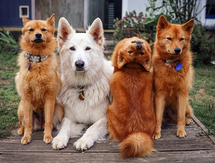 991162385FF1473A15B750