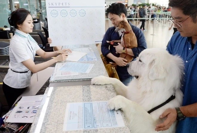 99B32B455DE504D72AE52A