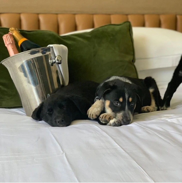 99FFF94D5D52BFC522482F