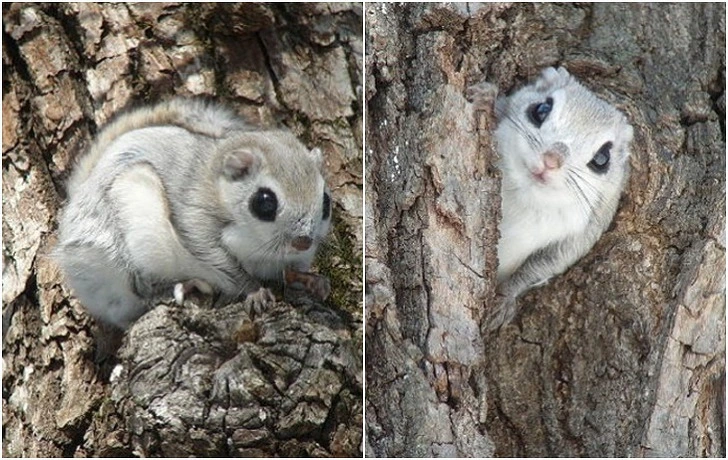 9988A7365F4F09AD26BCA4