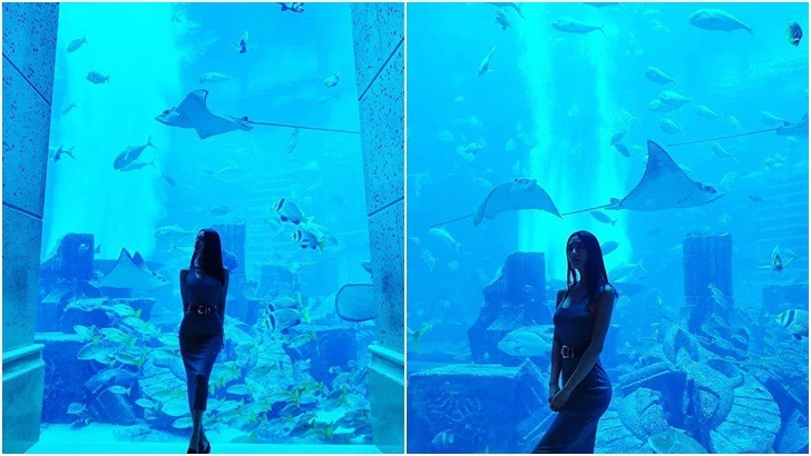 994E644B5D9598DC24A9C0