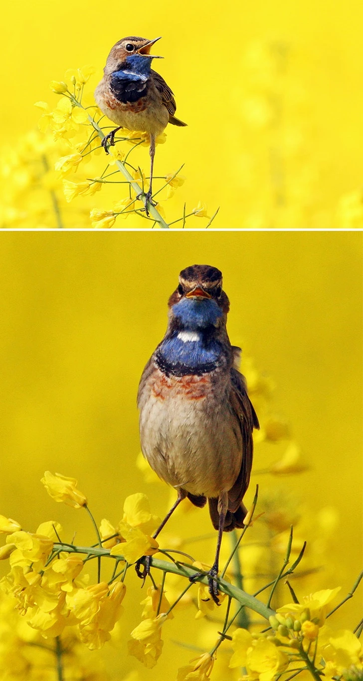 99246A3A5FF655F60639DD