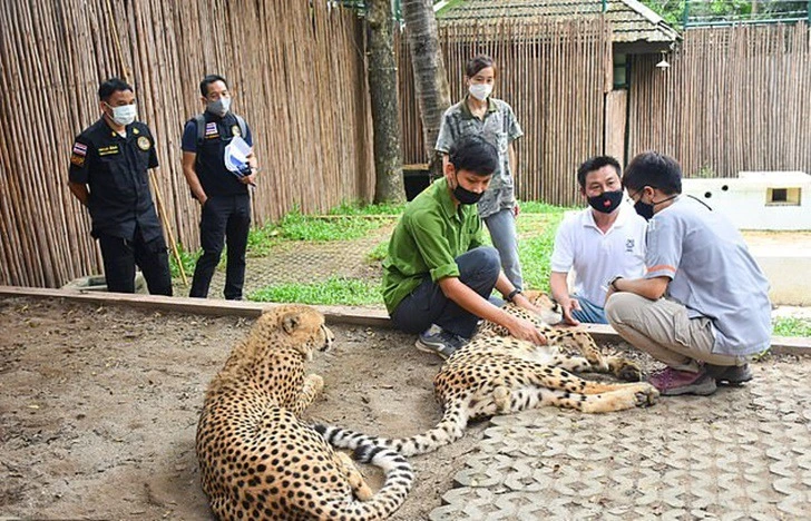 9968254C5F5574221415BC