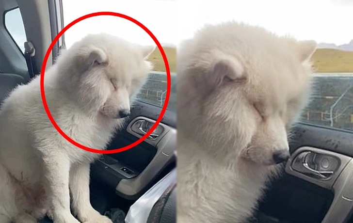 99D86D3B5FD008360C8D15