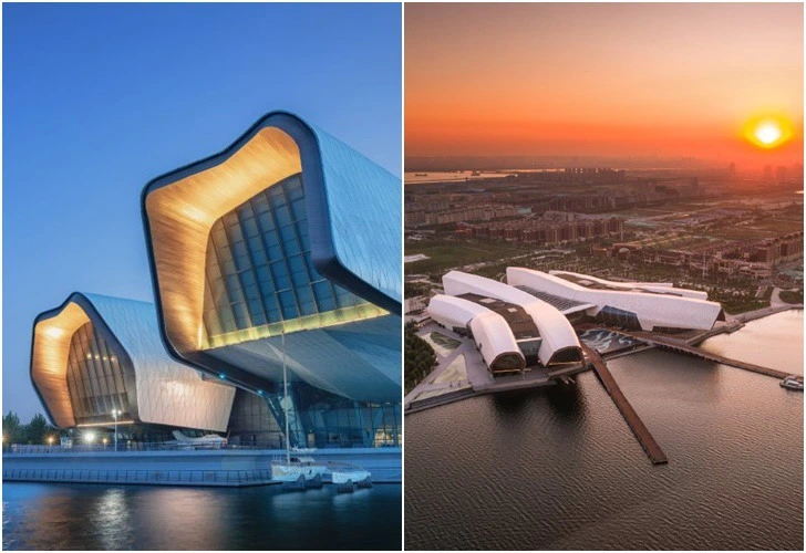 99A79B3D5E65B4C319FCD6