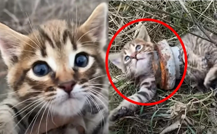 993C7E375FDA837708021E