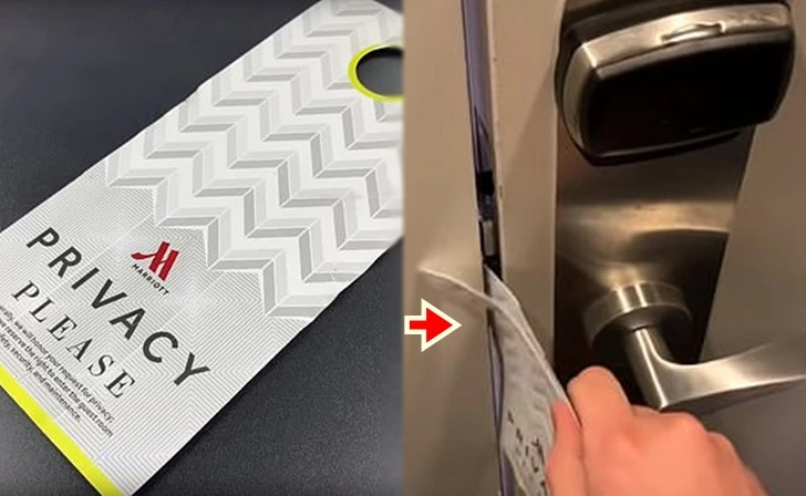 997B92485FD482DC227709