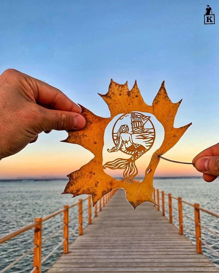 993358345F6B140D188BF5