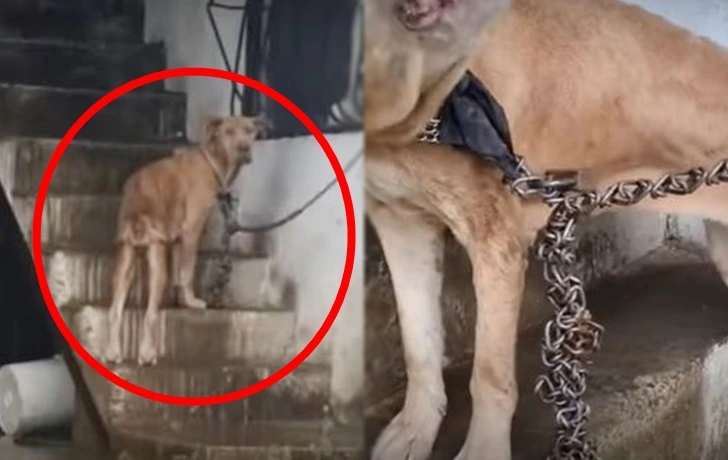 9933533C5FC2062523053A