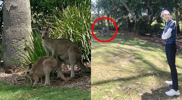 993CD24D5D07258E0E985B