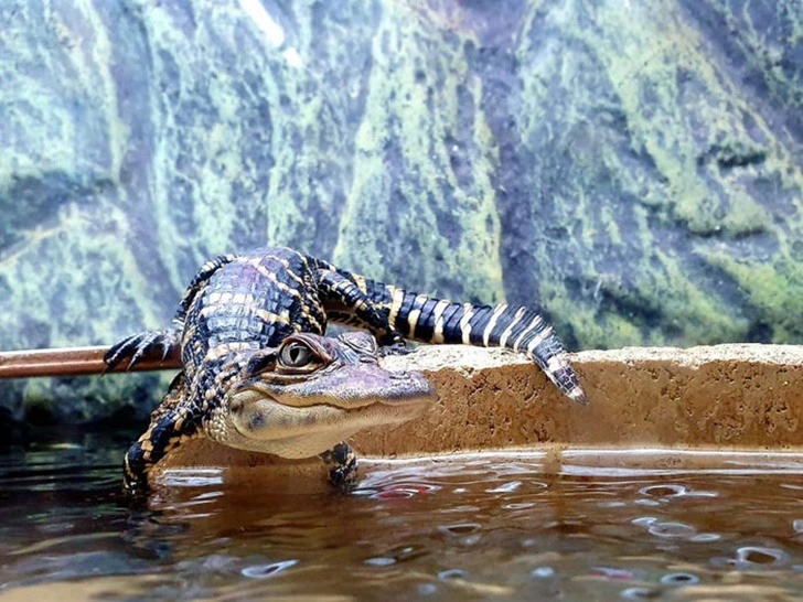 994DE84C5F22256F1F03D4